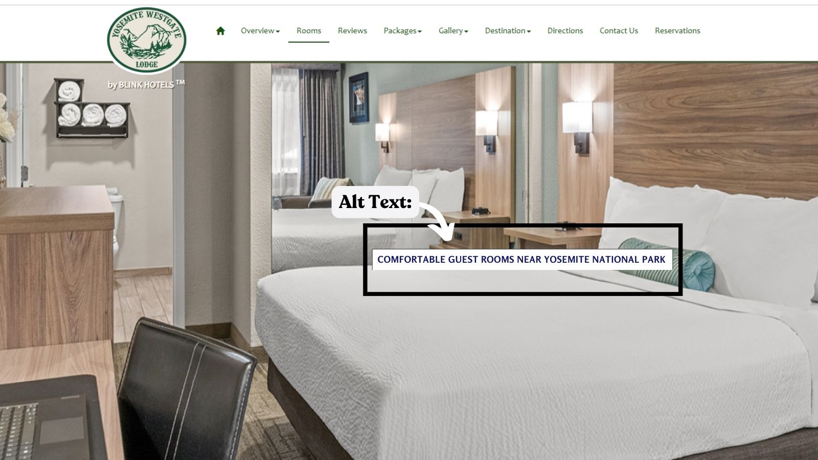Alt Text for Images